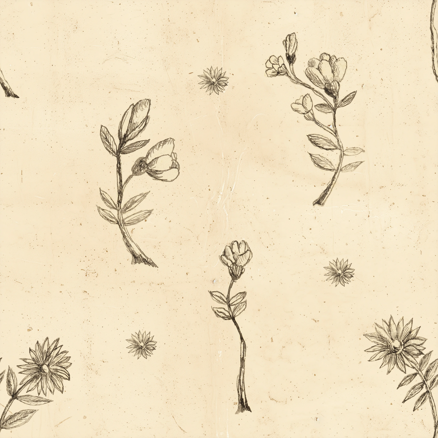 Henri Rousseau's Sketch