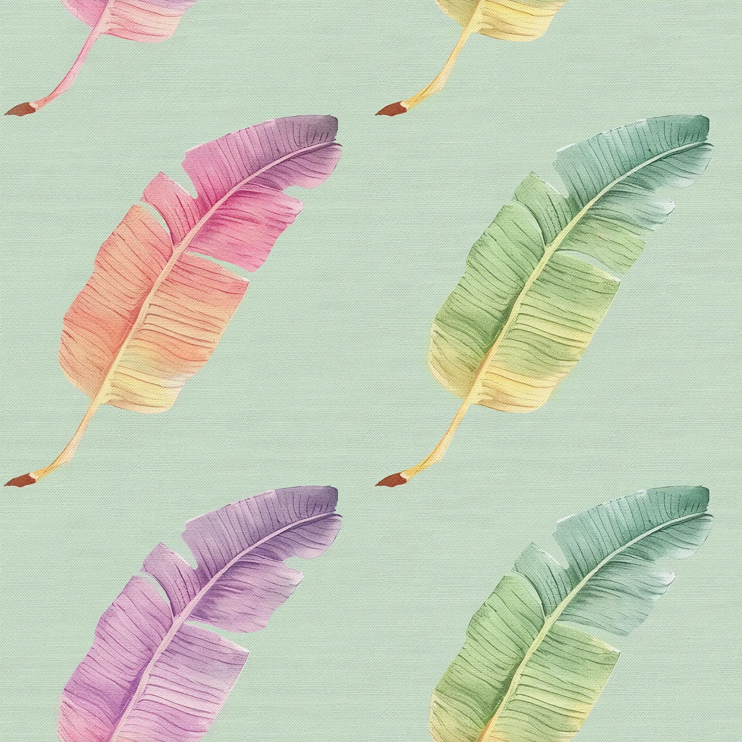 Rainbow Feathers