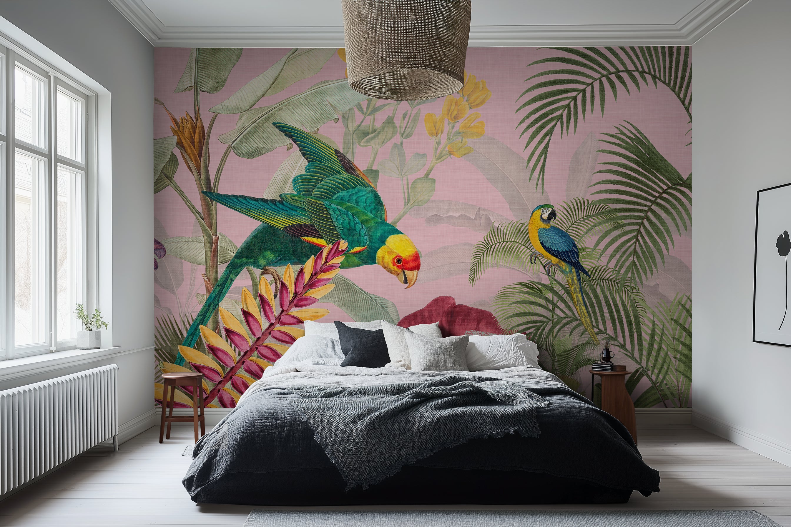 Birds of Paradise