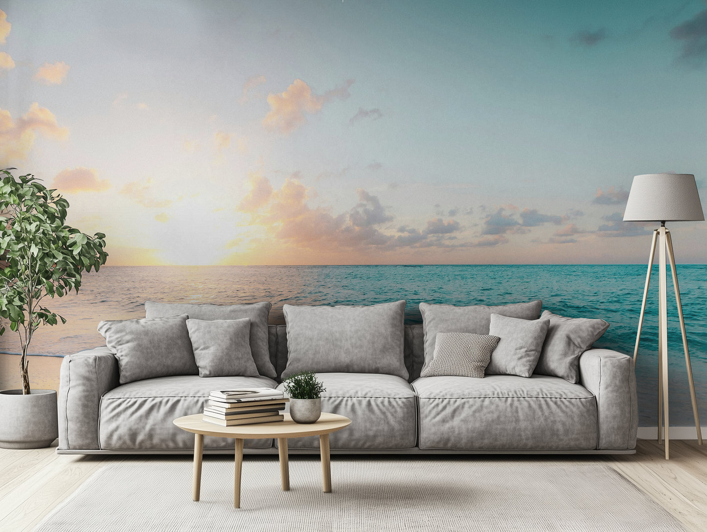 The Shoreline Bathed in Light