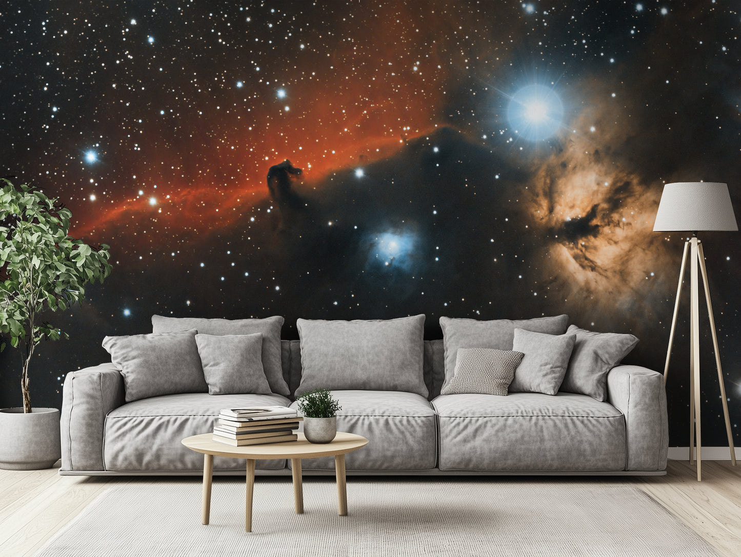 A Dark Matter Journey