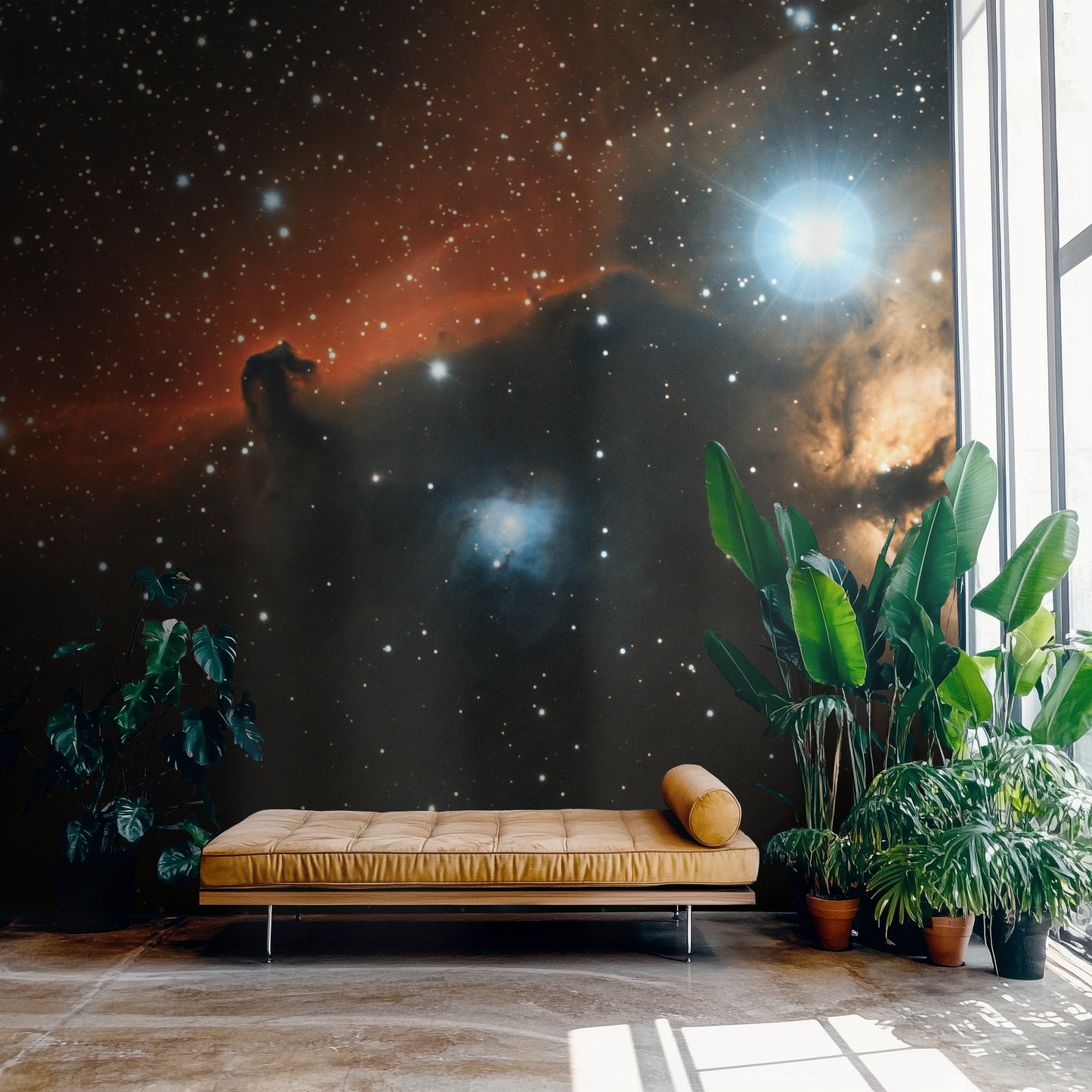 A Dark Matter Journey