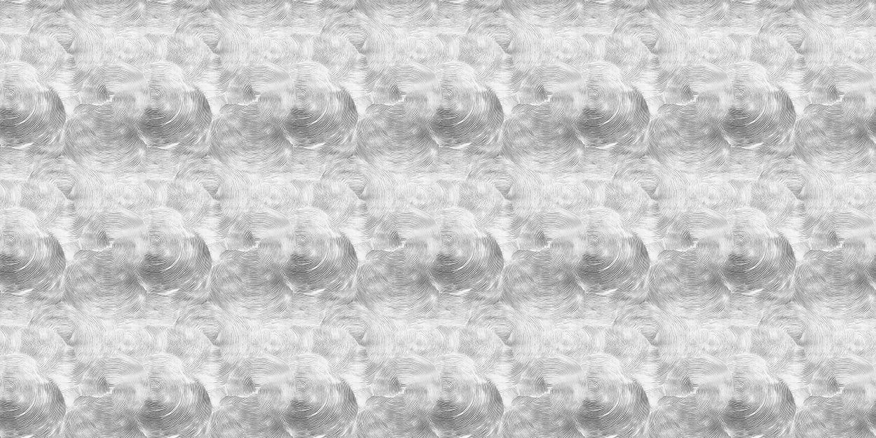 Fossil Impression - Charcoal