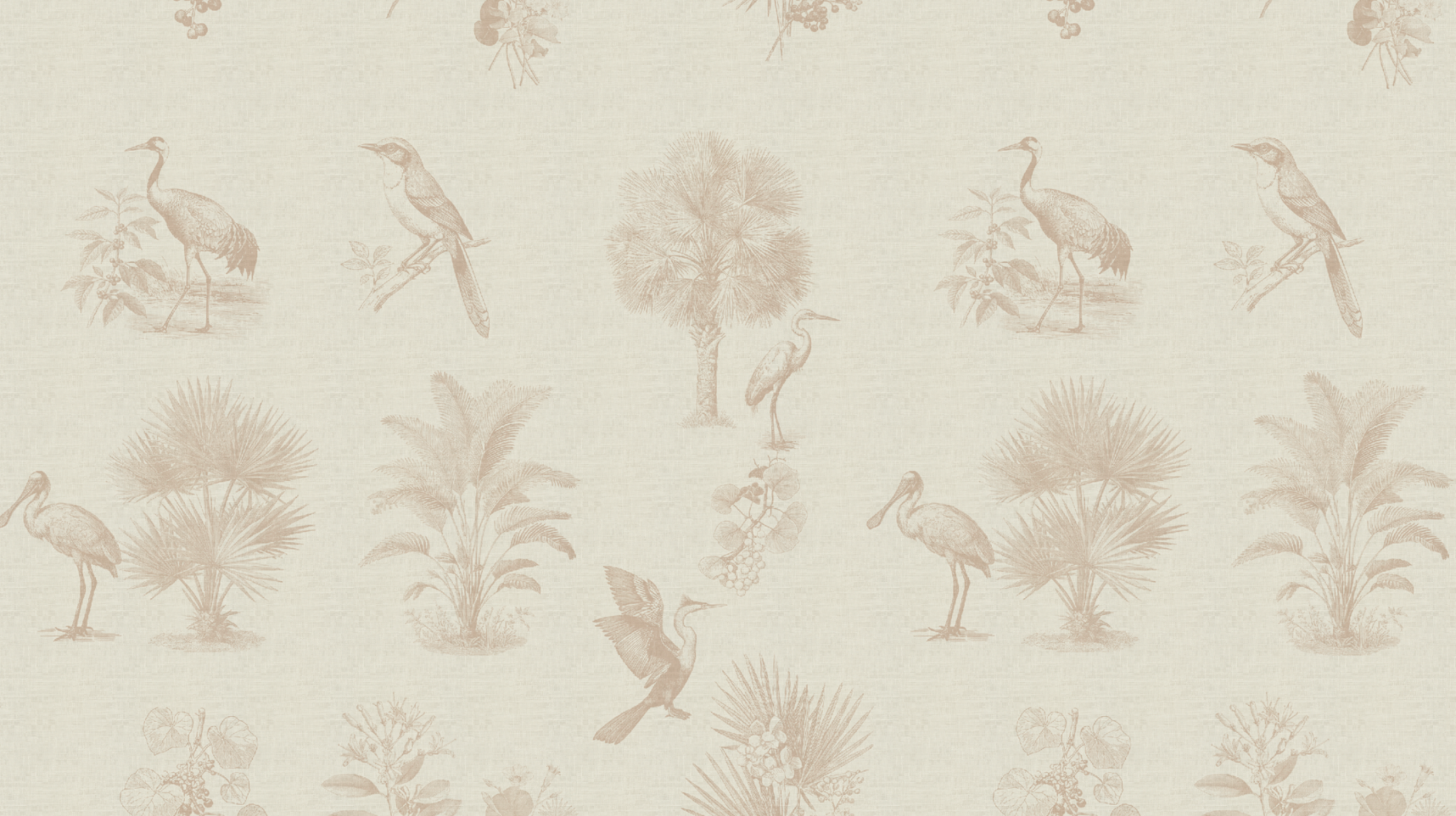 Animals & Nature Patterns