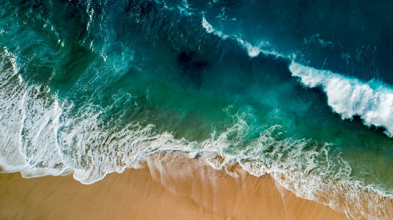 Ocean Palettes