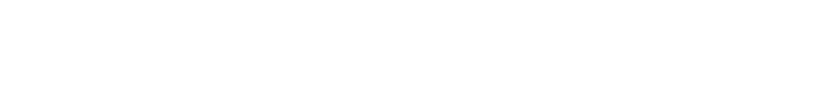 Overlay Logo