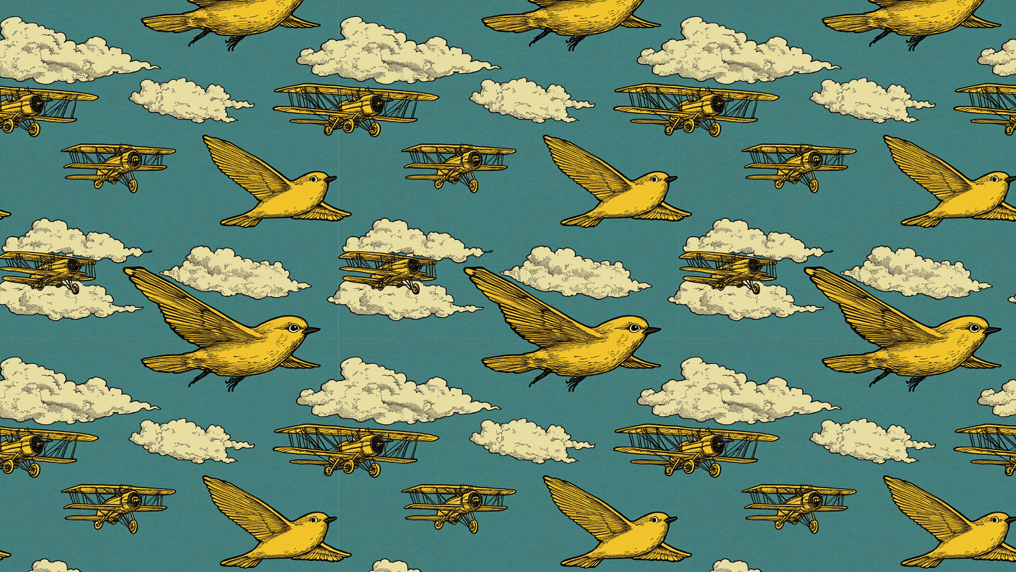 I Travel In My Dreams: Birds & Planes