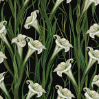 Lily Noir