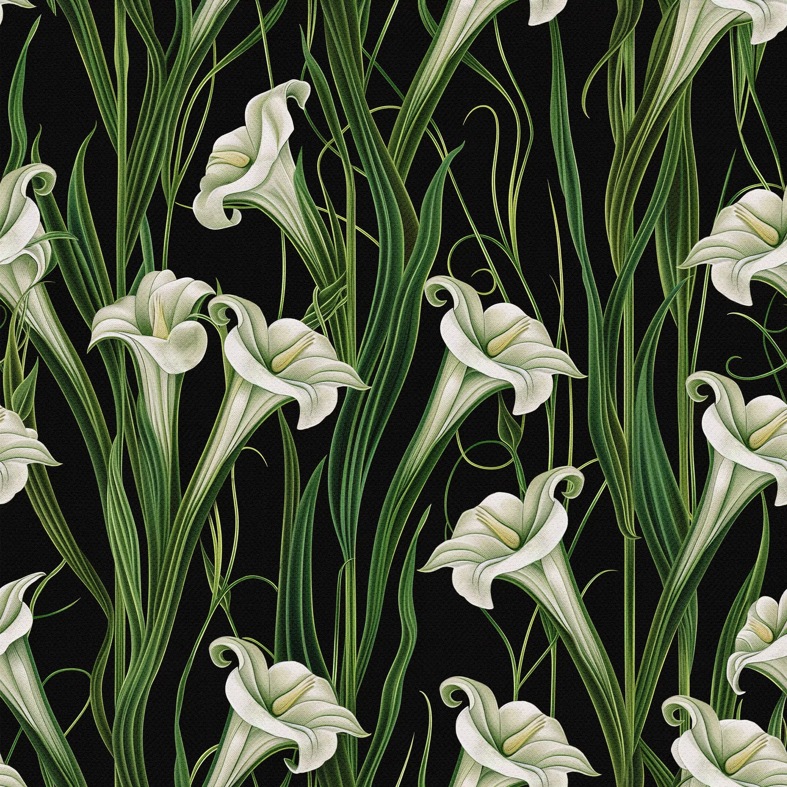 Lily Noir