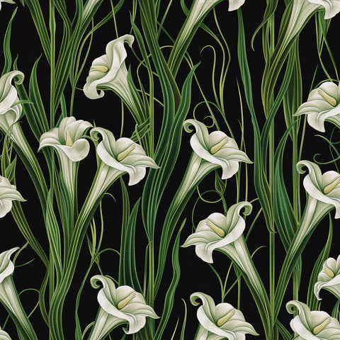 Lily Noir
