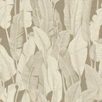 Palm Whispers