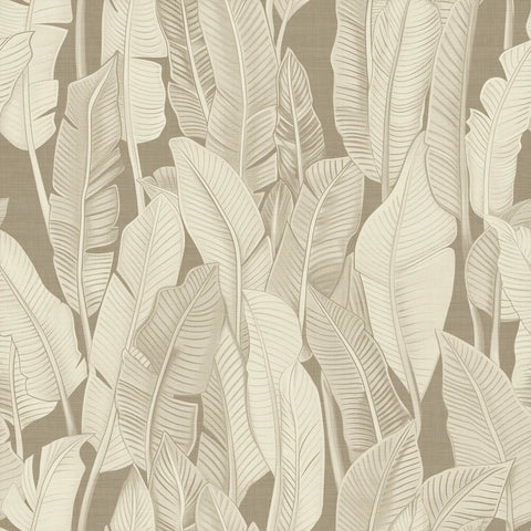 Palm Whispers