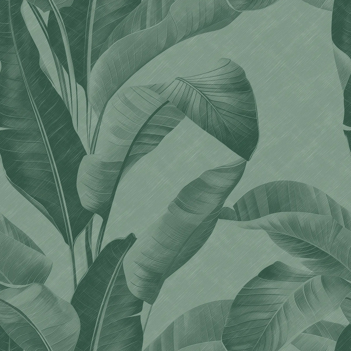 Muted Canopy