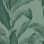 Muted Canopy