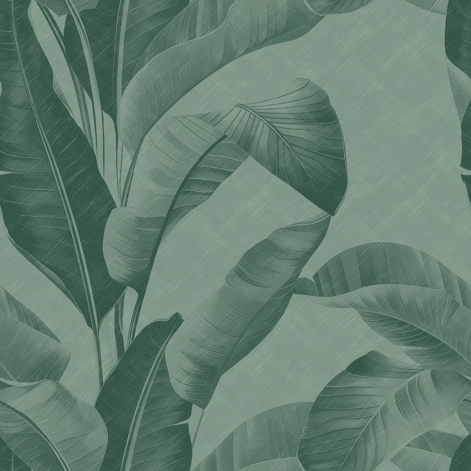 Muted Canopy