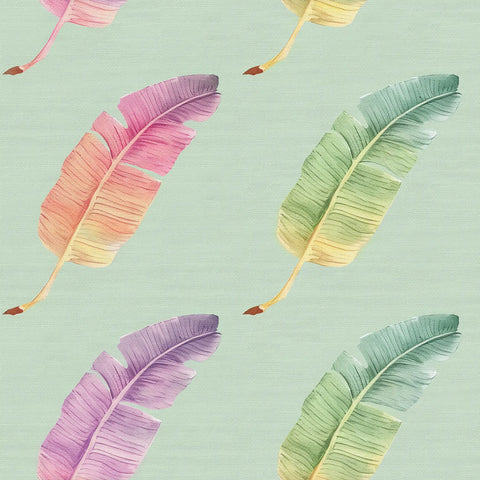 Rainbow Feathers