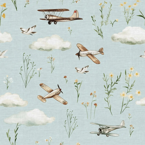 Nordic Skies