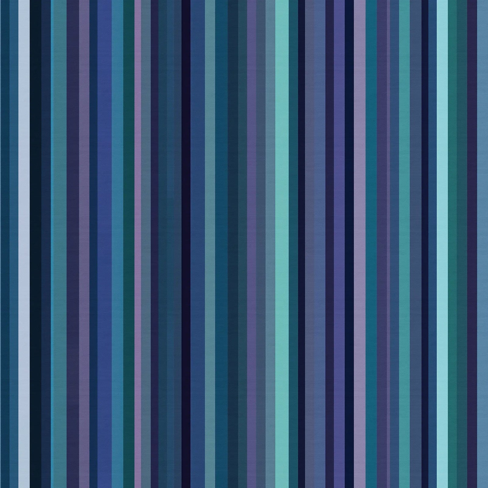 Borealis Veil