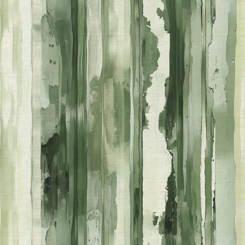Misty Treetops