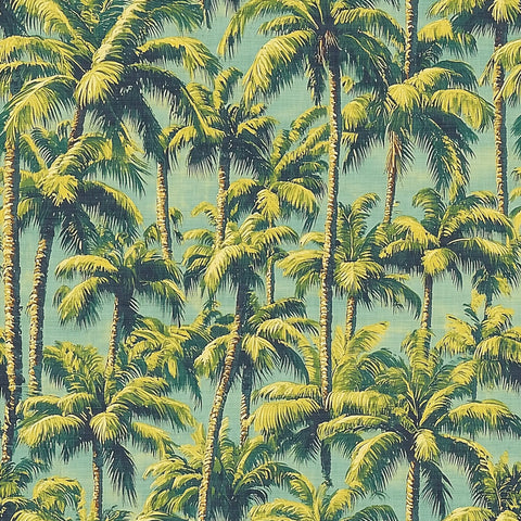 Golden Hour Palms