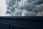 Frosted Canopy