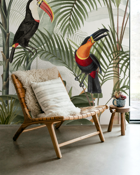 Tropical mural wallpaper in a living room, jungle design with parrots, toucans, and palm trees