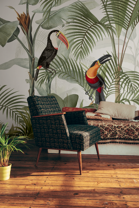 Tropical mural wallpaper in a living room, jungle design with parrots, toucans, and palm trees