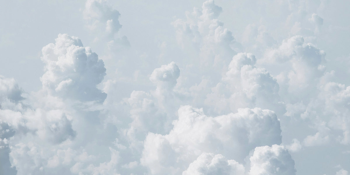Wallpaper mural from a photograph, showing big white clouds across a sunny sky. 
