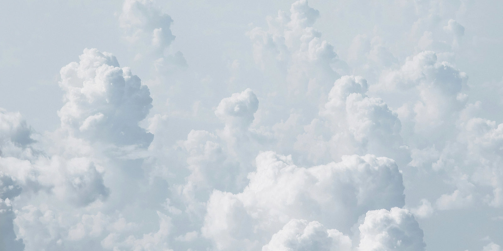 Wallpaper mural from a photograph, showing big white clouds across a sunny sky. 
