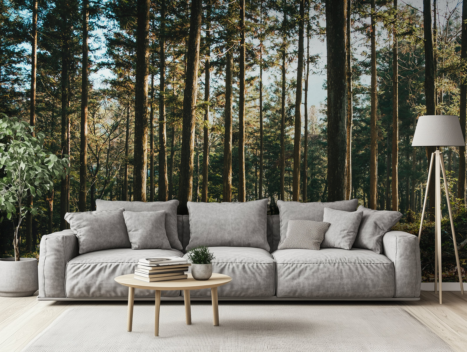Quietwood