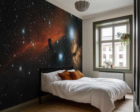 A Dark Matter Journey