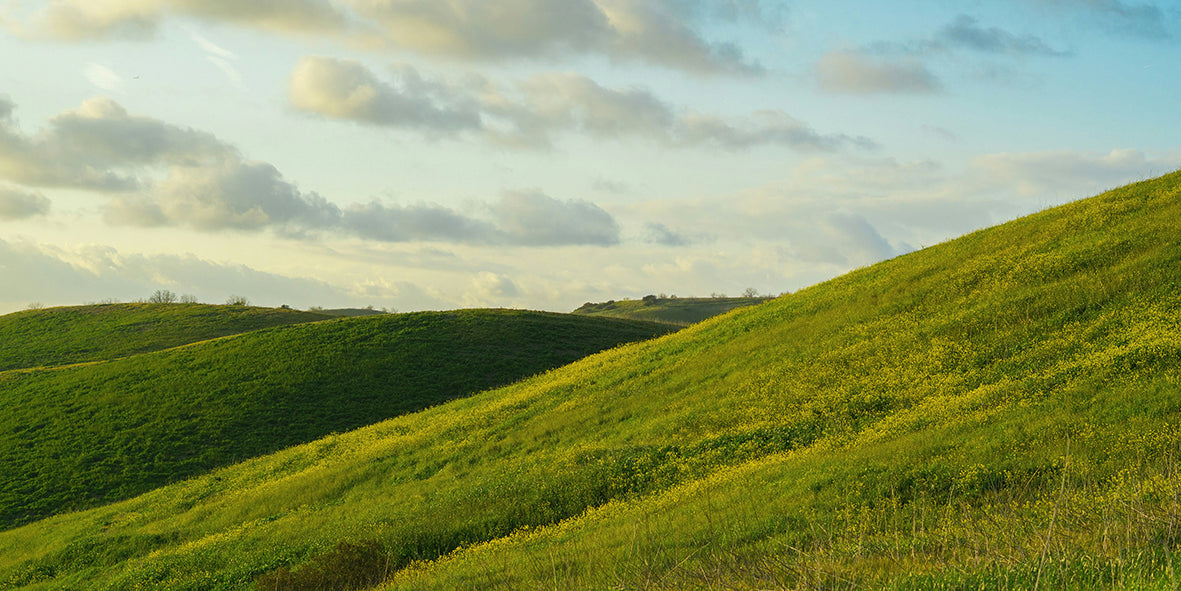 Hillshade