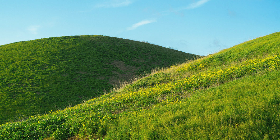 Greengold