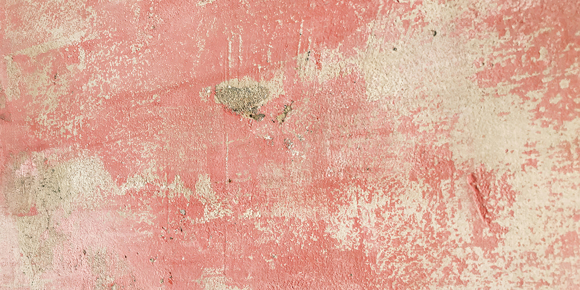 Rose Plaster