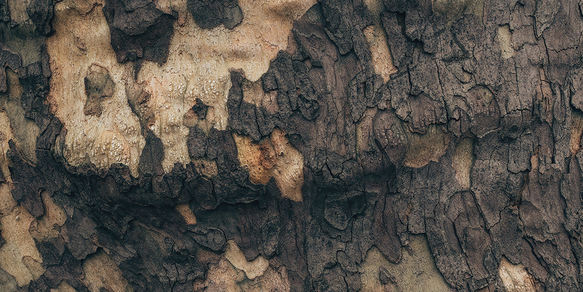 Ironwood