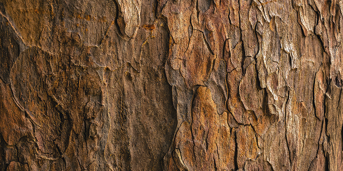 Earthline