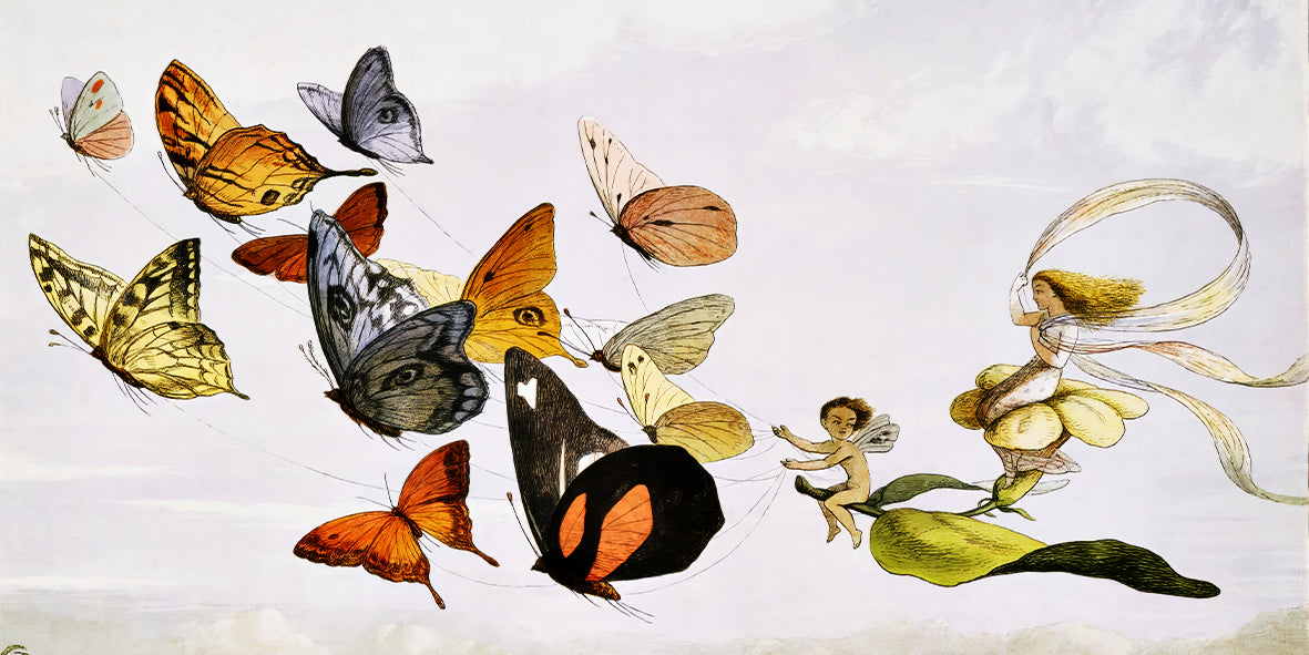 The Fairy Queen Takes an Airy Drive in a Light Carriage, a Twelve–in–hand, drawn by Thoroughbred Butterflies  - Richard Doyle (1870)