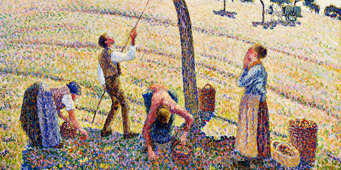 Apple Harvest – Camille Pissarro (1888)