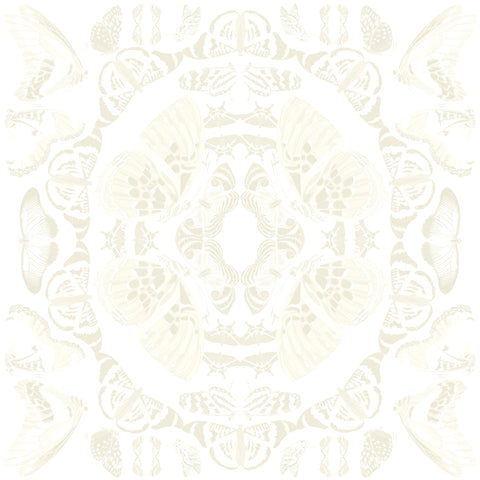 Beige butterfly wallpaper pattern.