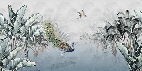 Peacock Reverie