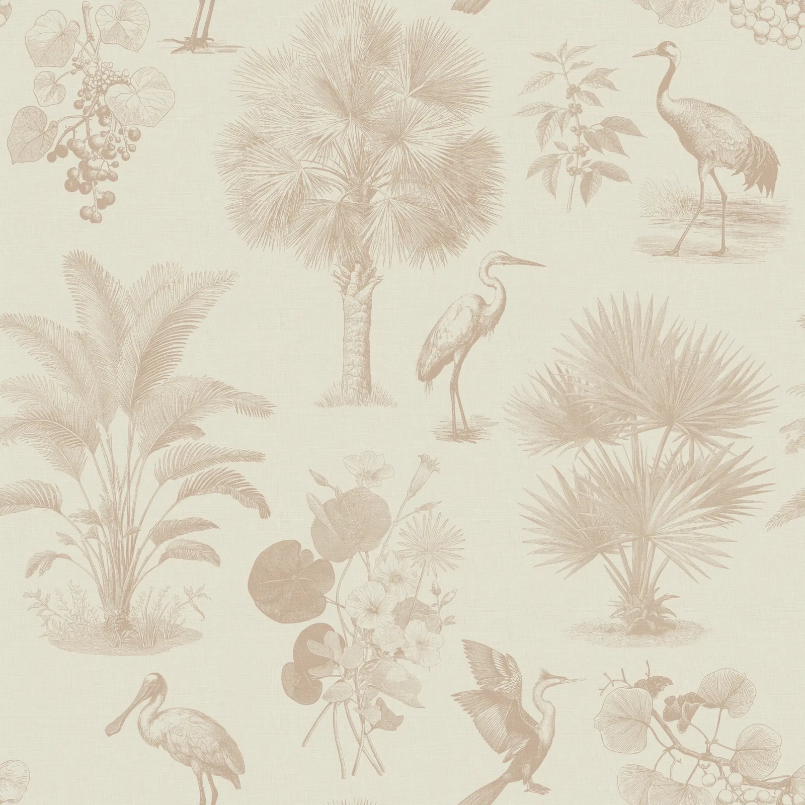 Sandhill