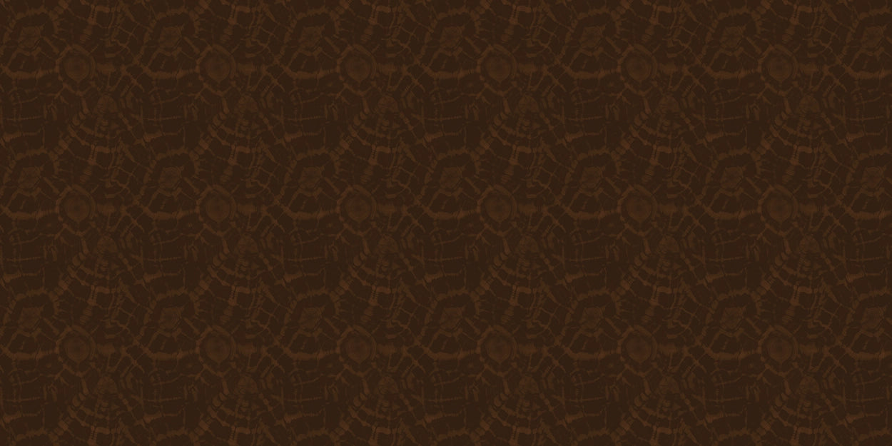 Tideback - Cacao