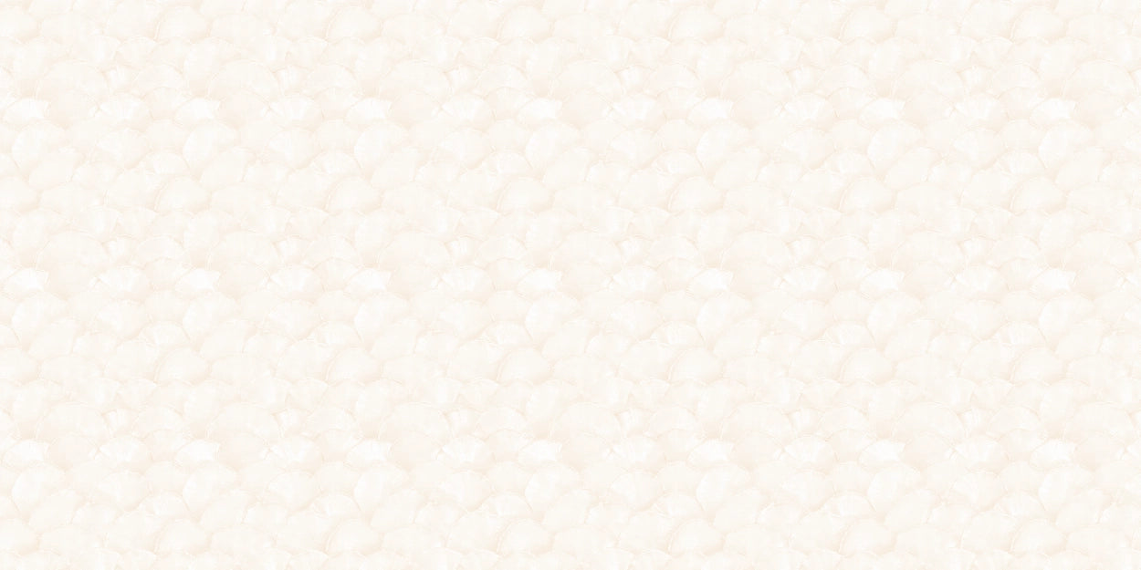 Shoreline Fan - Champagne Shell on Almond Cream