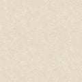 Beige Cork Texture