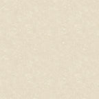 Beige Cork Texture
