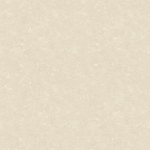 Beige Cork Texture
