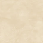 Fossil Impression - Ochre
