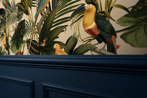 Parrot Parlour