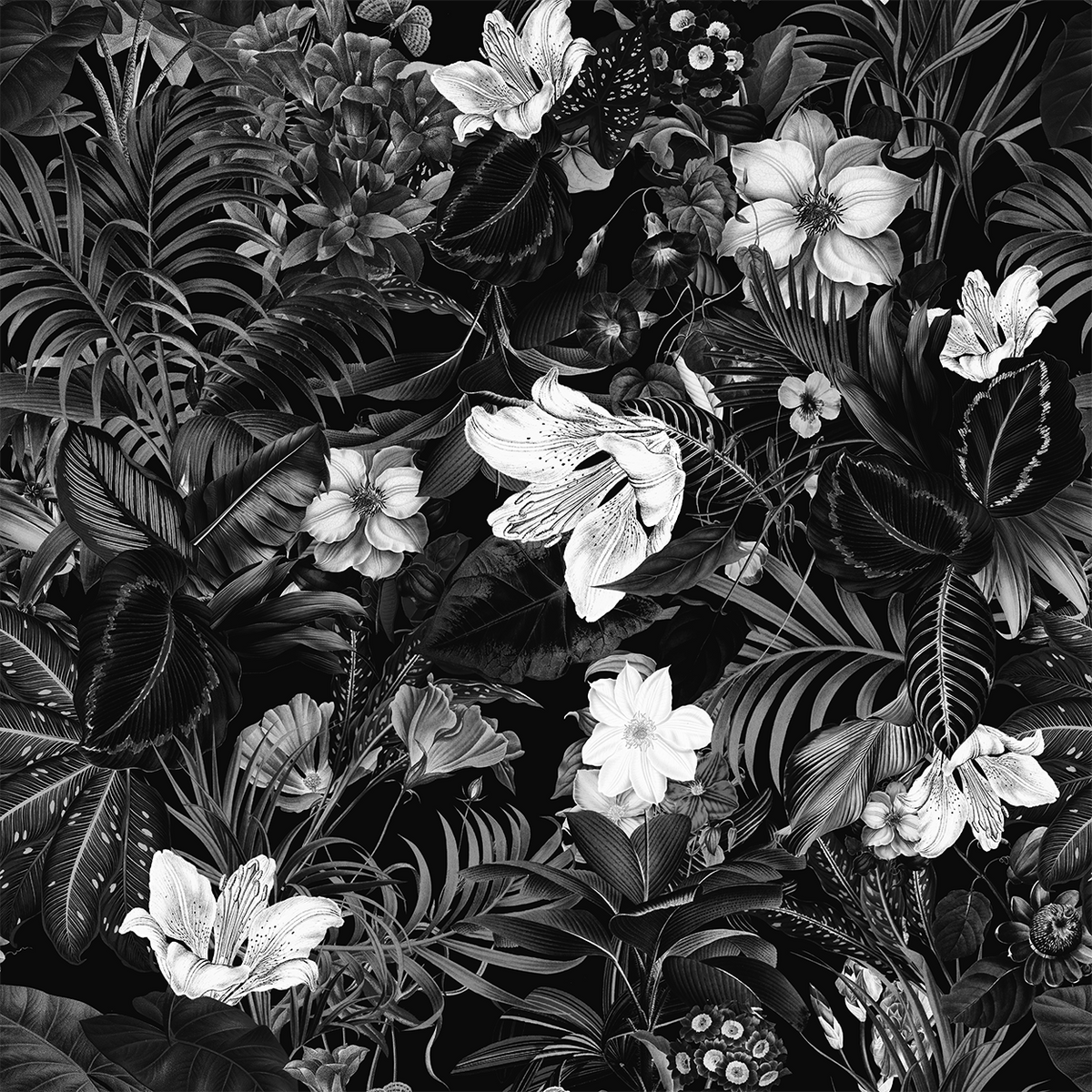 Flower Dance: Noir
