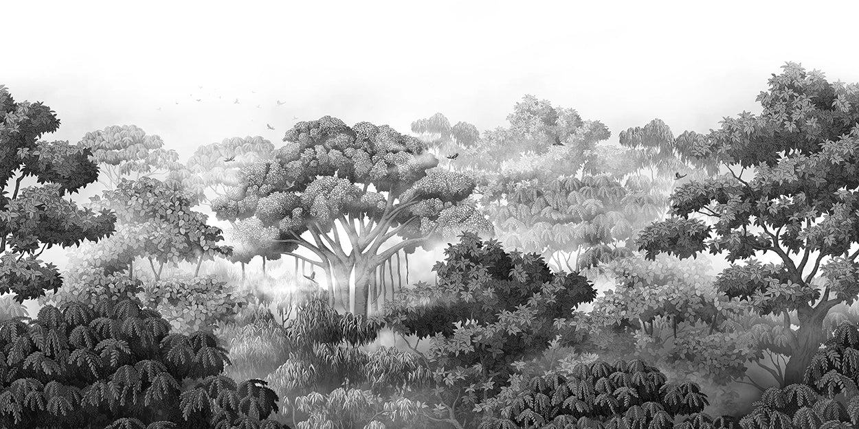 Wild Valley: Noir